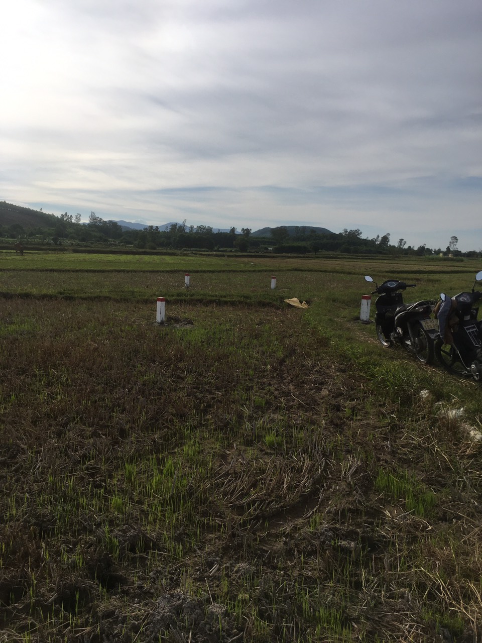Nguyễn Nghiêm tập trung thực hiện dự án đường cao tốc đoạn qua địa bàn